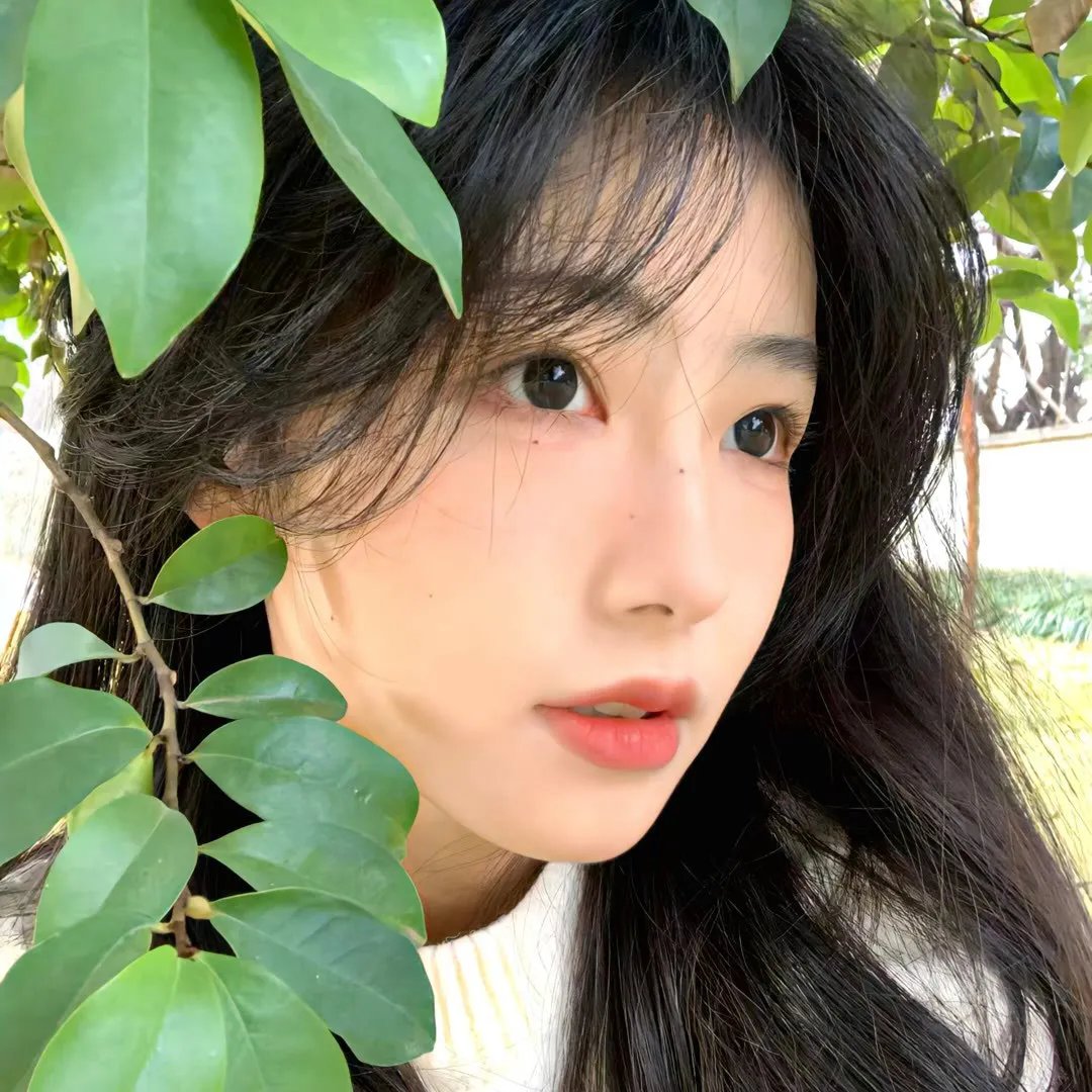 红色护卫